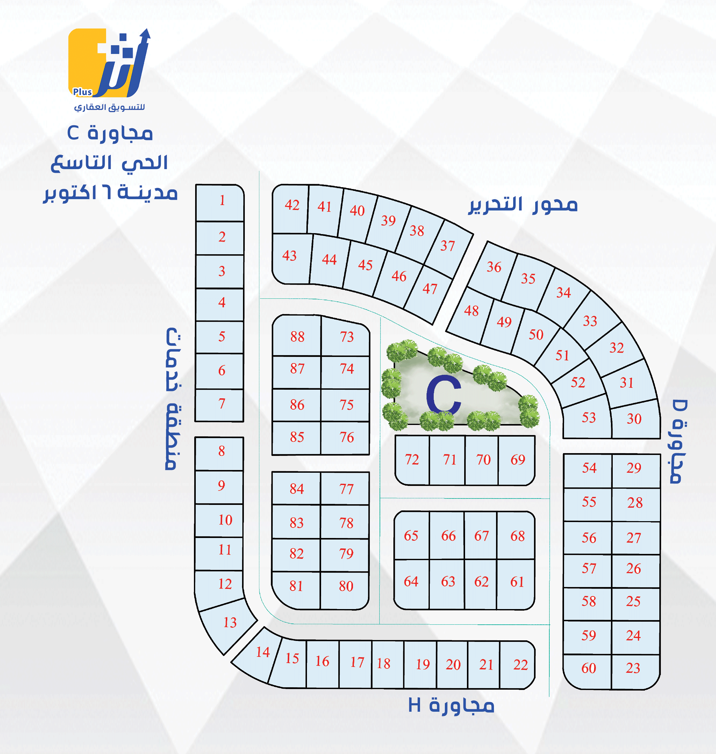 مجاورة C الحي التاسع